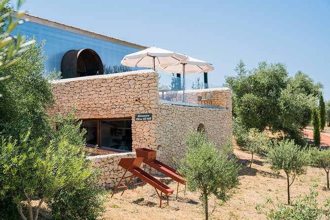 Visit Oil Mill Museum and Olive Oil Tasting in Ronda - LA Organic in Ronda: art, olive groves, and a tasting you can actually use