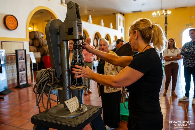 Visit the Oldest Winery of Malaga and Wine Tasting - The tasting of three wines (plus cured cheese)