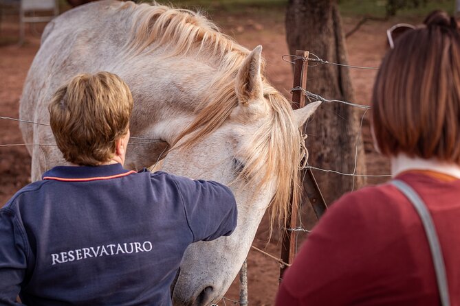 Visita Entre Toros y Caballos - Reservatauro Ronda: a working ranch visit, not a quick zoo stop