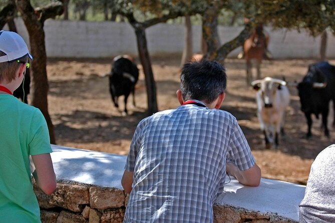Visita Entre Toros y Caballos - Booking tips that make the day smoother