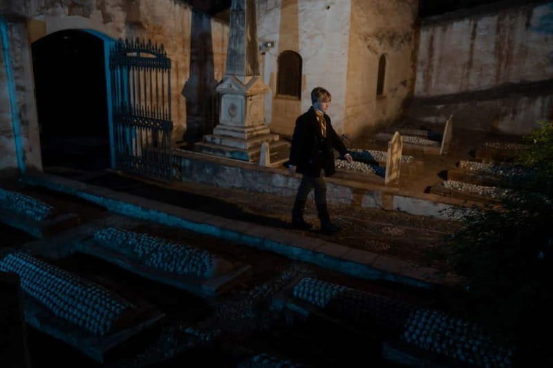 Visita teatralizada nocturna al Cementerio Inglés de Málaga - Who should book this, and who might skip it