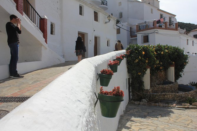 White Villages Tour in the Nerja area: Small-Group Tour and Lunch - White villages with an easy Nerja–Torre del Mar shuttle