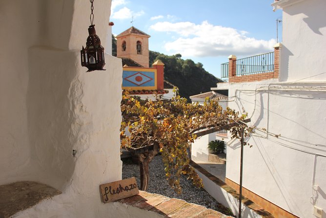 White Villages Tour in the Nerja area: Small-Group Tour and Lunch - Lunch in Sayalonga: menu choices, vegetarian options, and gluten-free notes