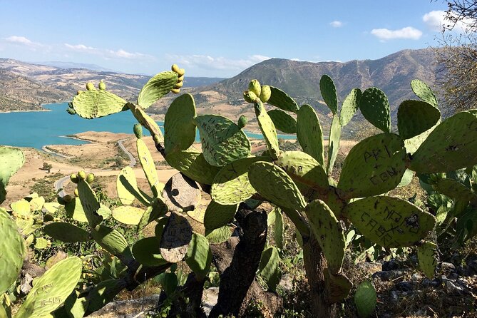 Wine, Tapas & Lake Zahara by e-bike incl Ronda pickup (full day) - Wine and Tapas Stops Enroute: Eating as Part of the Route