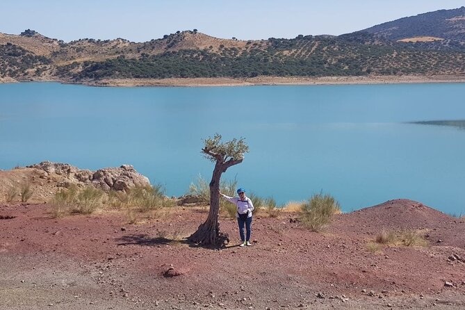 Wine, Tapas & Lake Zahara by e-bike incl Ronda pickup (full day) - Lunch With a Complimentary Drink: Simple, Included, and Timed