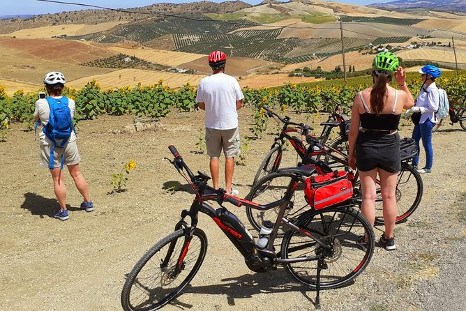 Wine, Tapas & Lake Zahara by e-bike incl Ronda pickup (full day) - The Hosts and Guides: Small Group, Real Help