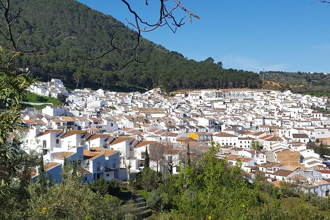 Wine & Tapas tour by electric bike (e-bike) including Ronda pickup (full day) - How the route feels: hills on the way up, fun on the way down