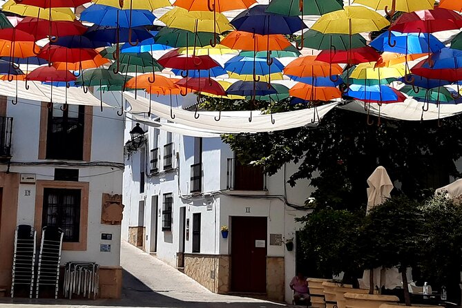 Wine & Tapas tour by electric bike (e-bike) including Ronda pickup (full day) - Helmet on real roads: safety is part of the value