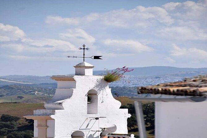 Wine & Tapas tour by electric bike (e-bike) including Ronda pickup (half day) - Price and value: what $108.13 buys you
